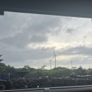 용수차경 돌품 이미지