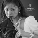 스튜디오까멜리아