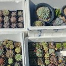 석봉마을9단지 부영아파트(장유5차) 이미지