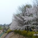 천변3호 이미지