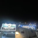 물고기 미포 이미지