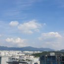 데이파크약국 이미지