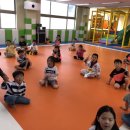 용인대 강 태권도 이미지