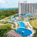 비고리조트 7 이미지