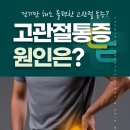 뻐근한 골반 통증? 고관절 통증 질환부터 관리법까지