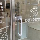 오월의 동물병원 네이버블로그