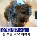 원당동물병원 이미지