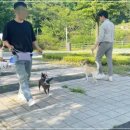 (주)에듀펫 이미지