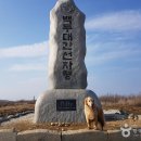 한국관광공사 추천 5월 걷기여행길, 자연 속에서 반려견과 함께 걷기 좋은 길 이미지