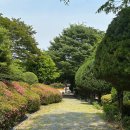 숲쟁이꽃동산 | 영광 숲쟁이꽃동산 코스 후기 백제불교도래지와 함께 가볼만한 곳