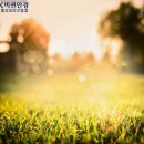 비젼안경콘택트 이미지