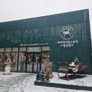 하이애니멀샵 | [포천 가볼만한곳] 마이애니멀스토리in평강랜드, 테디베어소🐂