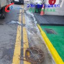 올림피아당구장 이미지