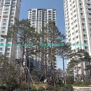 주식회사 서령