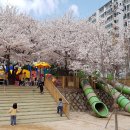 금련사유치원 이미지