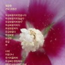 얼음땡