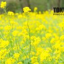 마더농장 이미지