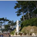 누리상회 이미지