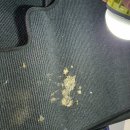 e-편한크리닝 이미지