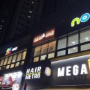 앨플로라마카롱