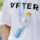 샐리