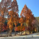 네버랜드 | 캠프네버랜드 가평 신생캠핑장 사이트소개 솔직후기