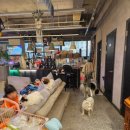 오르치그로치 이미지