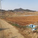 평화2태양광발전소 이미지