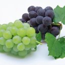 교대역 1번출구 이미지