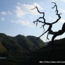 구름이 쉬어가는 곳 이미지