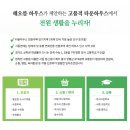 해오름하우스 - 양양군 주청2길 8-9 | 해오름하우스