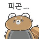 논산밋션 네이버블로그