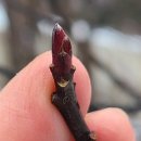 활터어린이공원 이미지