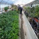 뿌리농장 이미지