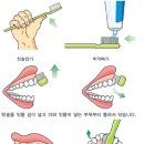 잇몸 튼튼!! 치약 & 칫솔. 바른 사용법, 알려드릴게요! 이미지