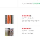 강원야채