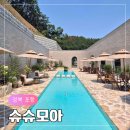 포항시북구5 | 경북 포항 북구 우현동 유럽 감성 대형 베이커리 카페 슈슈모아