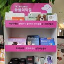 하늘빛약국 이미지