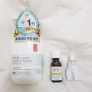 그린트리약국 이미지