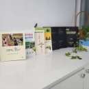 예쁨유치원 이미지