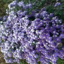 청하우체국 이미지