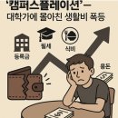 플레이션 이미지