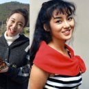 이푸드 시스템