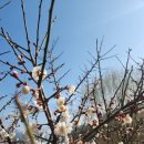 양화로 183 홍익인간오피스텔 | 홍대 사주 후기 카톡으로 편하게 보는 사주 카톡 사주왕