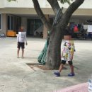 꼭지민박 이미지