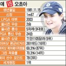 한국오웬스코닝(주) 이미지