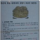 서울곱창 Daum카페
