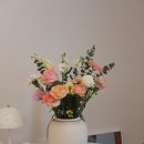 상원농원 이미지