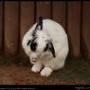 황간휴게소(상행) 이미지