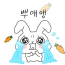 네일 드 브와